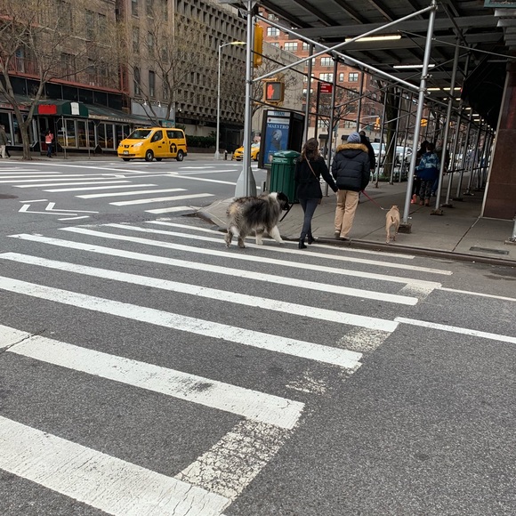 Meet your Posher, Griffith - Picture 1 of 1